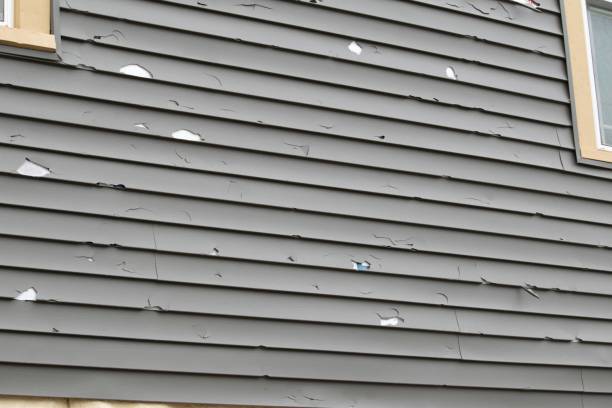 Best Custom Siding Design  in Waynesburg, PA